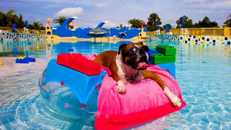 В Испании открыли аквапарк для собак