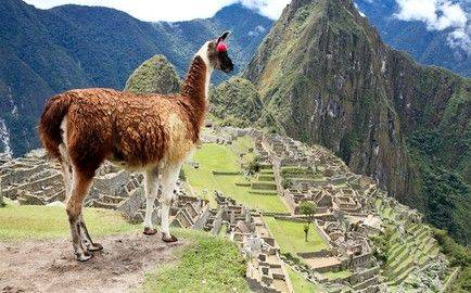 Разгадай тайны Перу, одной из самых загадочных и интересных стран мира