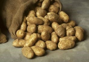 Испанцу грозит тюрьма за 50 кг картошки
