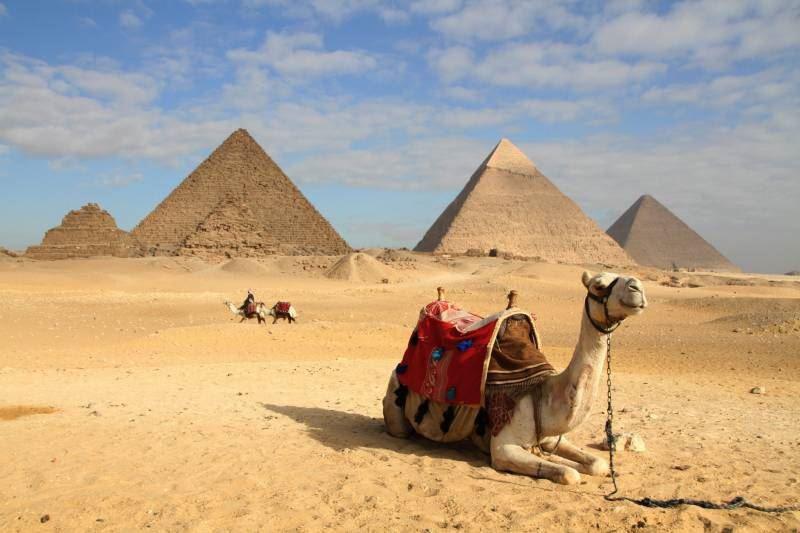 Коронавирус  может ускорить «открытие» Египта