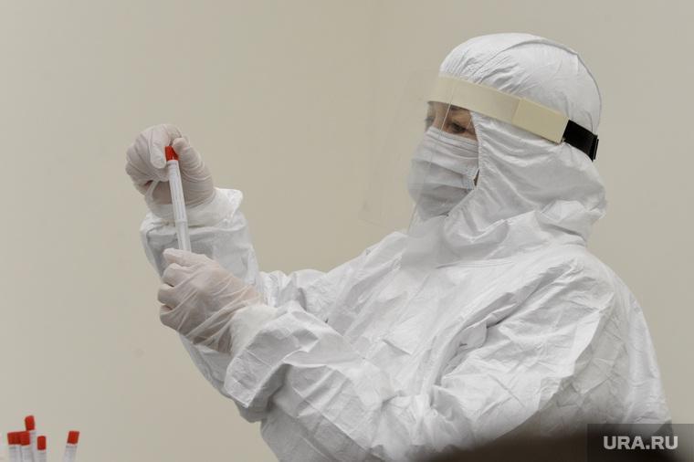 РБК: в администрации и управделами президента выявили случаи заражения коронавирусом