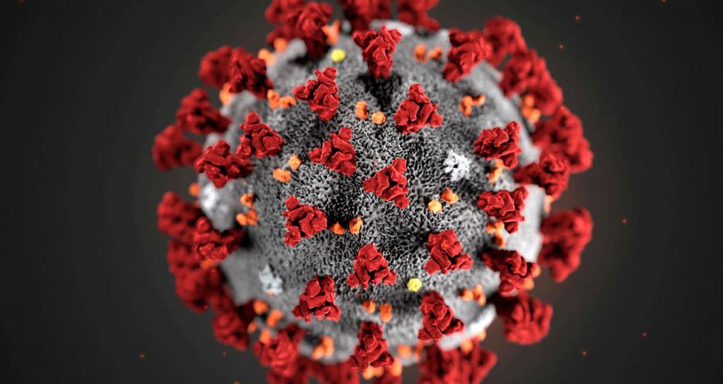 Как придумали знаменитое изображение коронавируса