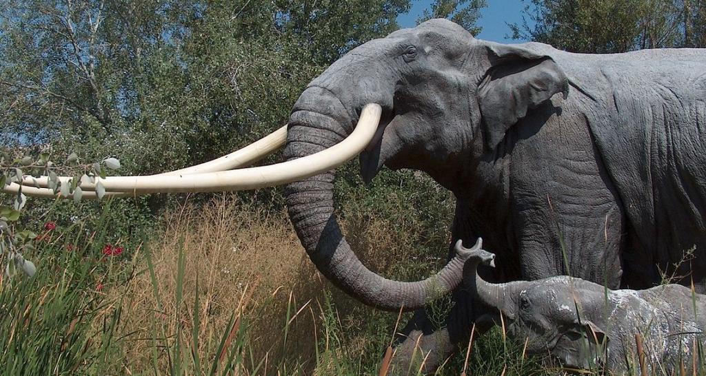 В Германии найден скелет лесного слона