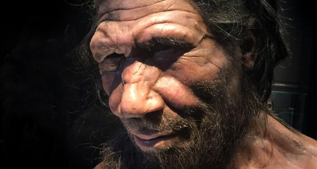 Низкий болевой порог оказался наследством неандертальцев