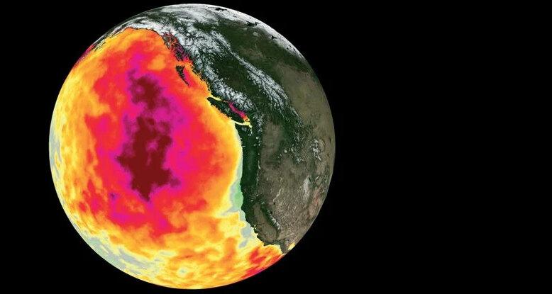 Аномальные горячие "пузыри" массово убивают жизнь в океане