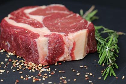 Ученые создали мясо из человеческих клеток
