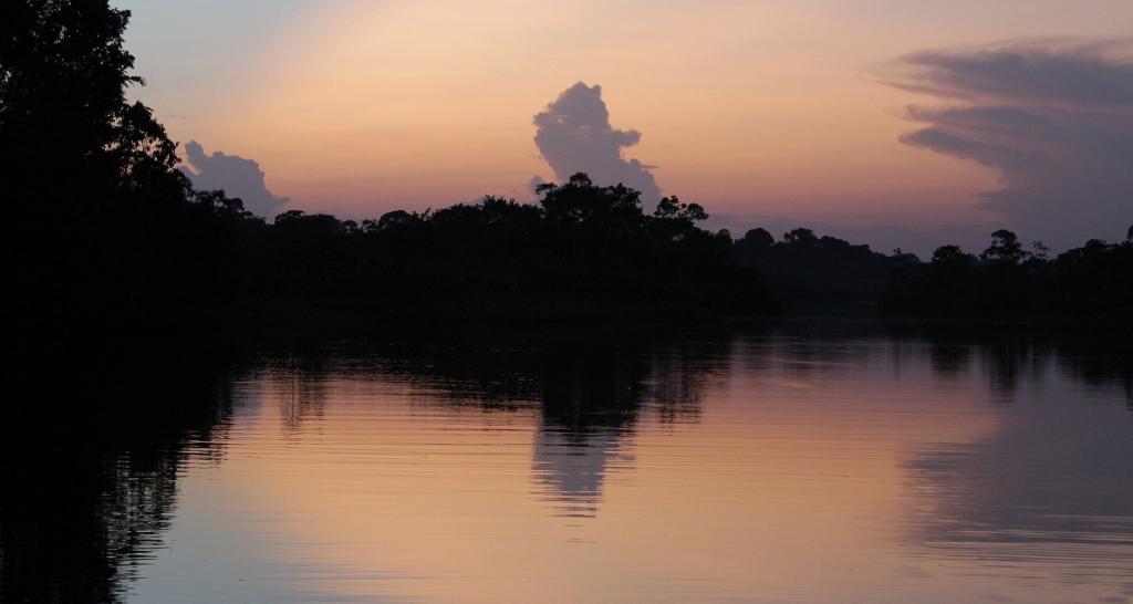 Лес в Амазонке оставался полностью нетронутым в течение 5000 лет