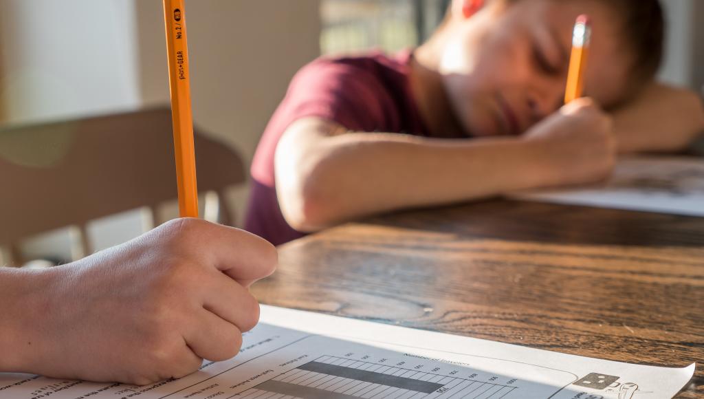 Почему домашнее задание вредит школьникам