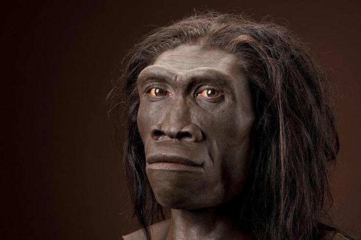 Как изменилось лицо человека за 6 000 000 лет: видео