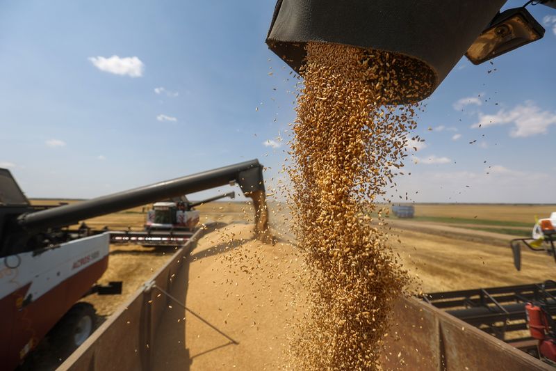Bloomberg: Россия выиграет от глобального продовольственного кризиса