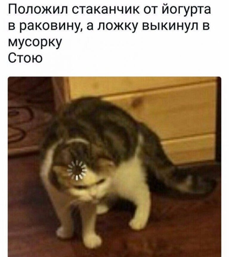 Картинка непонимающего кота