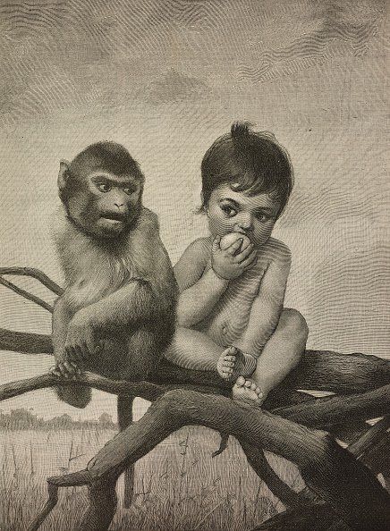 Эгоизм и эгоисты: неразумный и разумный эгоизм, его примеры Эгоизм и эгоисты: неразумный и разумный эгоизм, его примеры