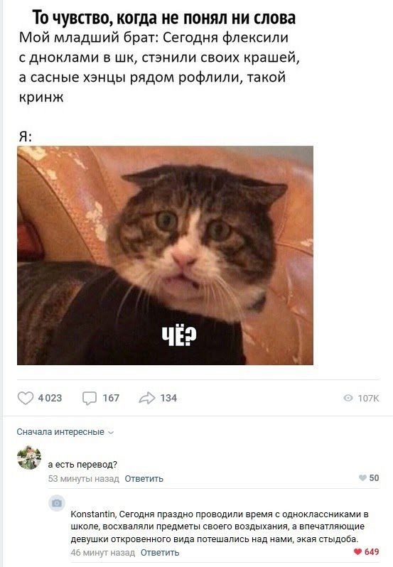 Стэнили своих крашей. Что значит стэнить на молодежном сленге? Стэнили своих крашей. Что значит стэнить на молодежном сленге?