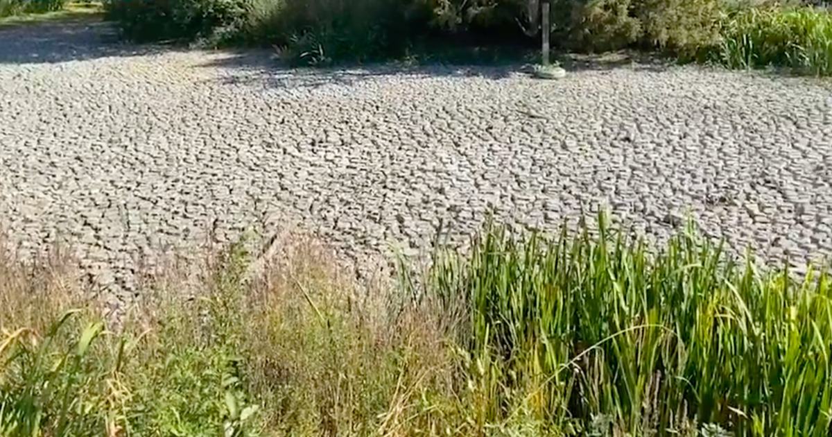 В Британии начали вставать в очереди за водой