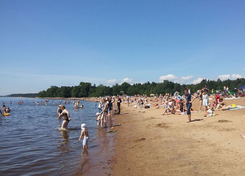 Пляж золотой санкт петербург. Золотой пляж Зеленогорск. Золотой пляж Сестрорецк. Золотой пляж Зеленогорск 2022.