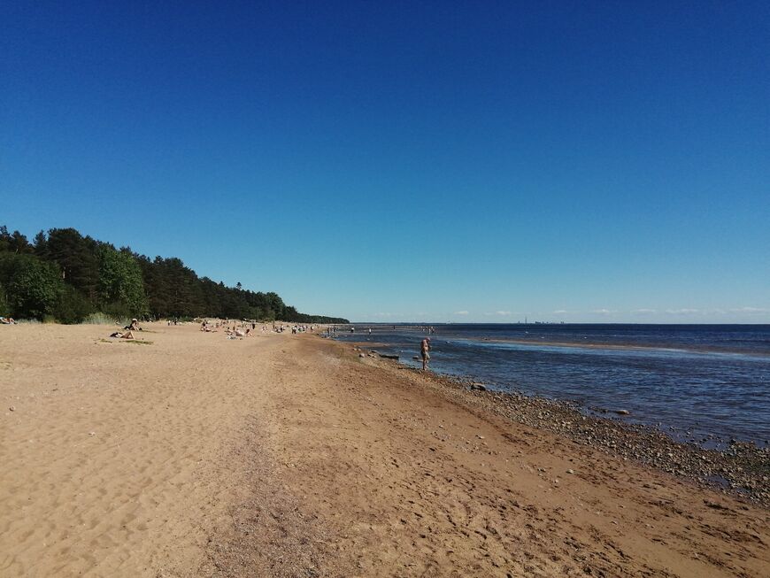ТОП-5 достопримечательностей Комарова: дачи, море, экотропа, «на недельку до второго» ТОП-5 достопримечательностей Комарова: дачи, море, экотропа, «на недельку до второго»