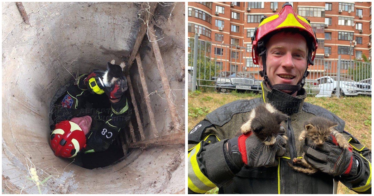 В Москве спасатели достали котят из вентшахты