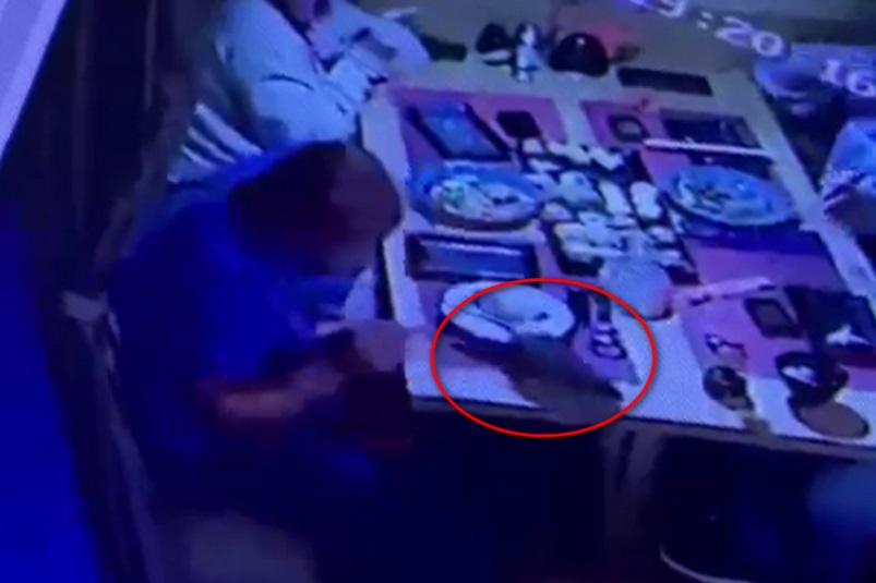 Наш Рататуй. Крыса бегала по столу туристического ресторана в Приморье