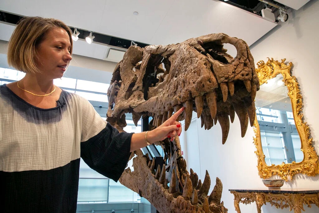 В Нью-Йорке продают череп тираннозавра