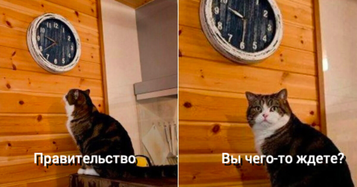 Правительство вновь отказалось установить 31 декабря выходным днем Правительство вновь отказалось установить 31 декабря выходным днем