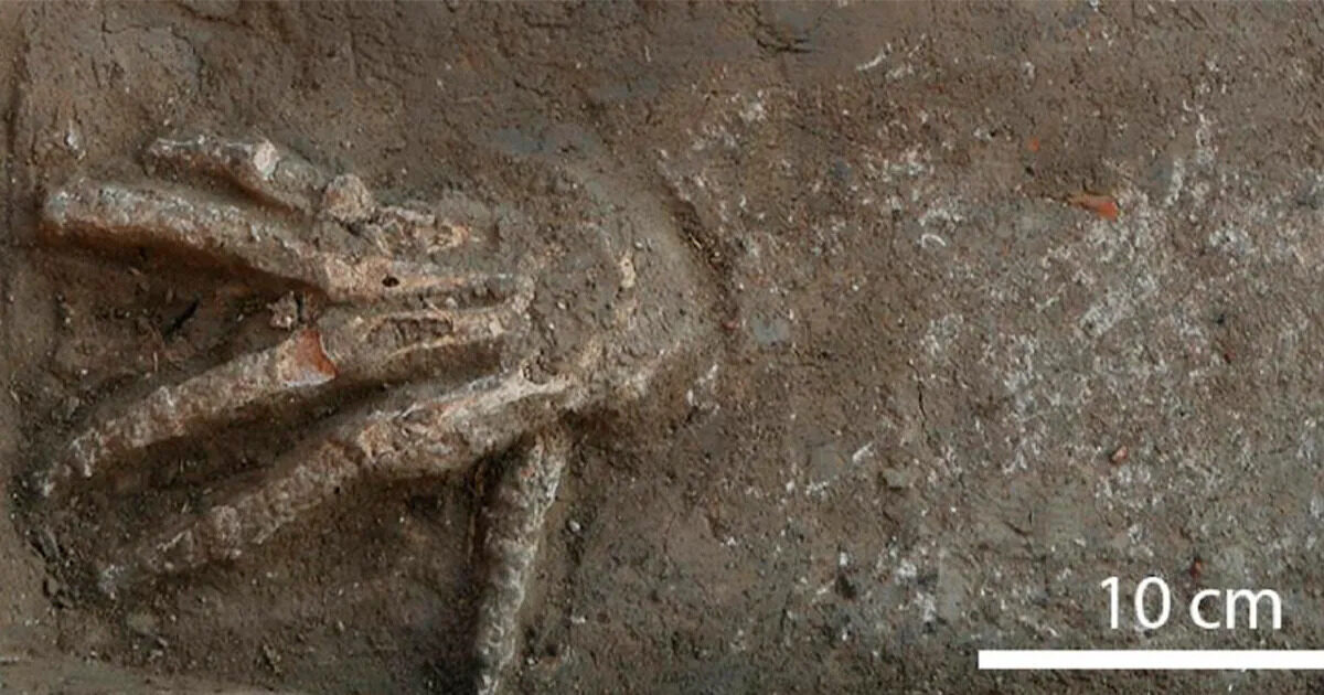 12 отрубленных рук нашли в древнем египетском дворце