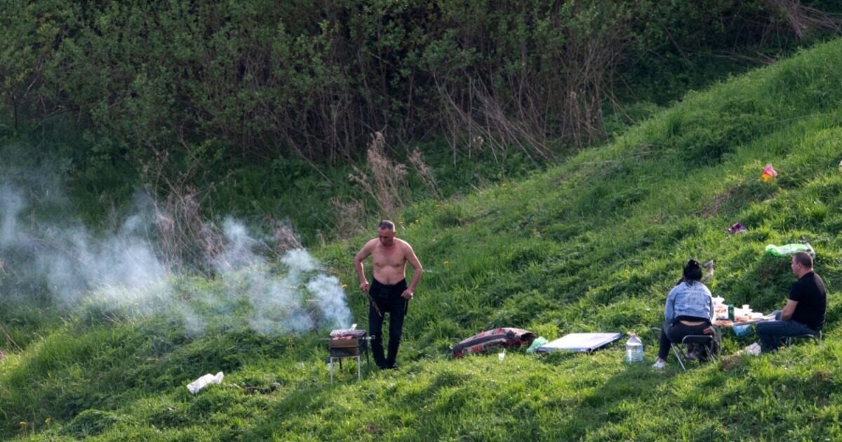 Двое друзей загорелись на шашлыках в Подмосковье