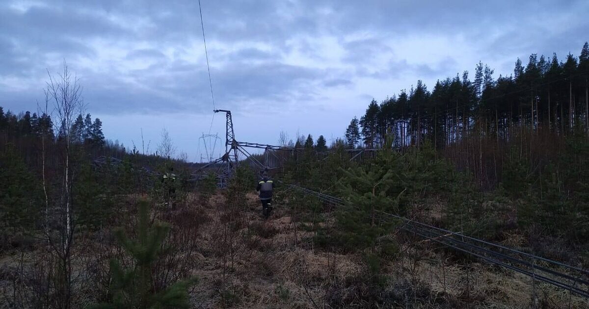 В Ленинградской области подорвали опору ЛЭП