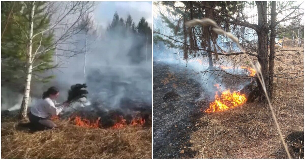 Женщина потушила лесной пожар веником в Новосибирской области. ВИДЕО
