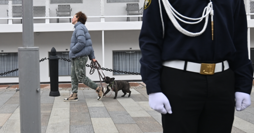 В Госдуме предложили штрафовать владельцев собак за их самовыгул