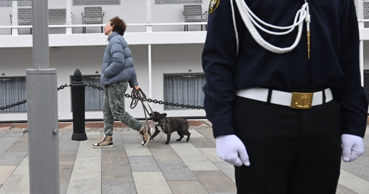 В России введут штрафы за выгул собак без намордника и поводка