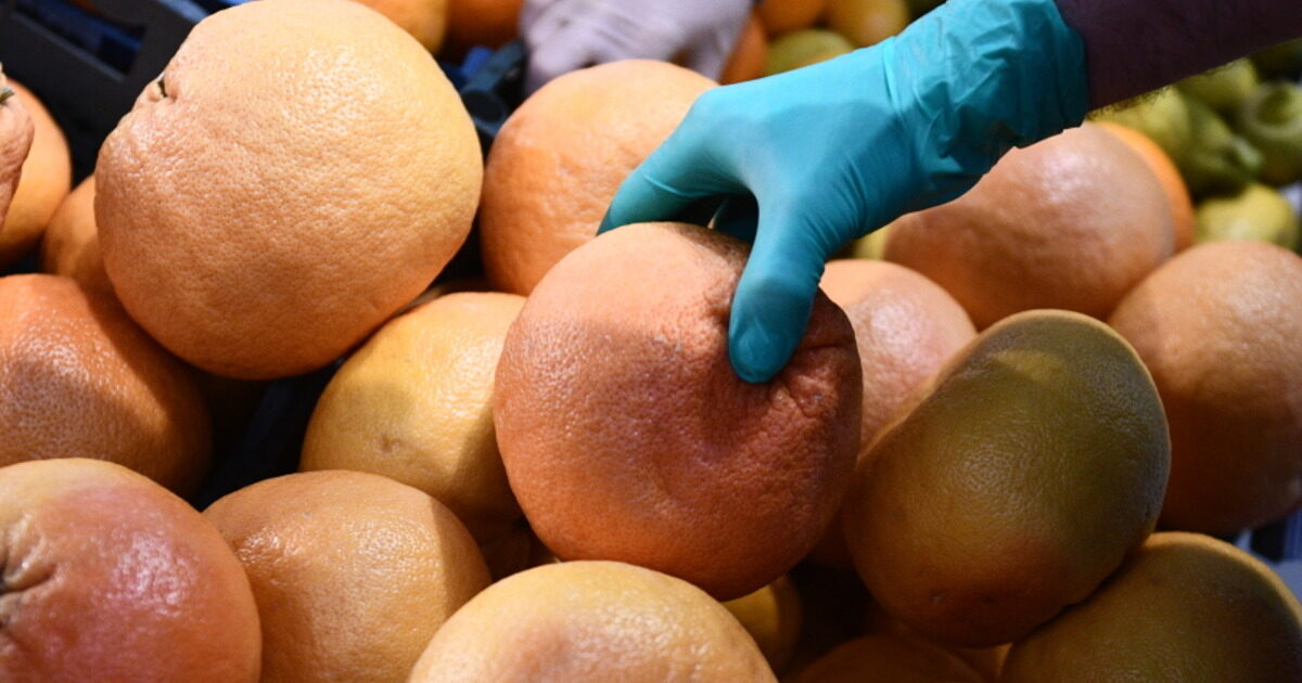 Без диет: хитрая схема с грейпфрутом, которая позволит быстро скинуть лишние кило