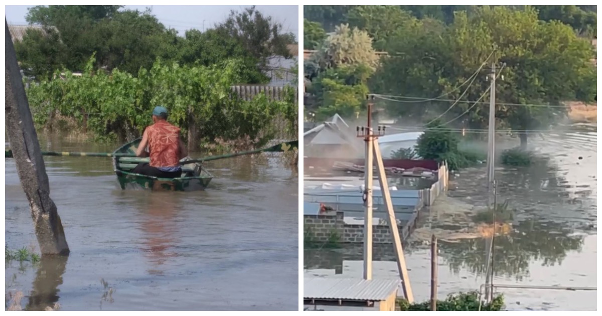 Берегам полно