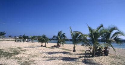 Более тысячи россиян оказались в эпицентре эпидемии на Кубе