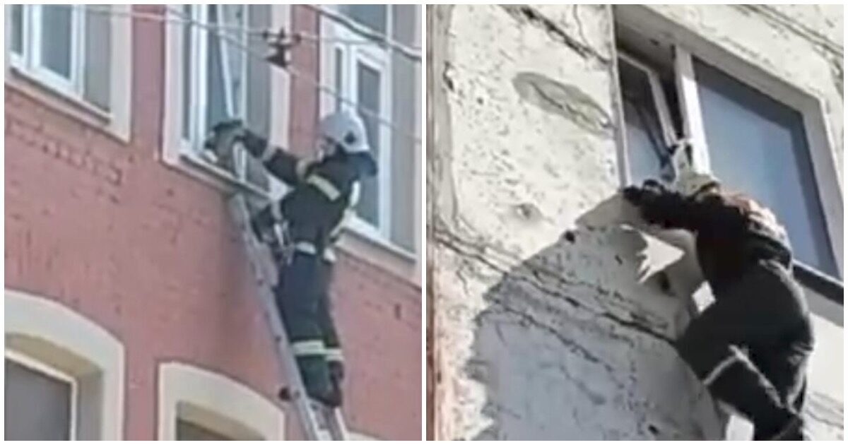 Пожарные спасли застрявшую в окне кошку Пожарные спасли застрявшую в окне кошку