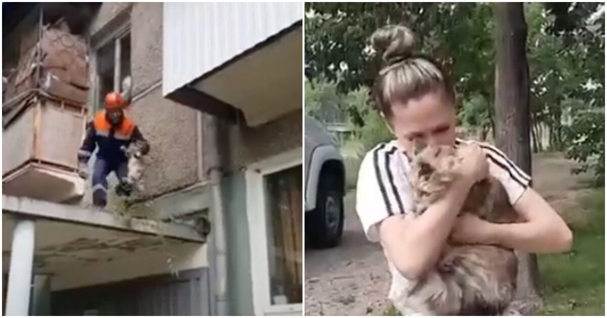 В Биробиджане спасли выпрыгнувшую из окна пятого этажа кошку В Биробиджане спасли выпрыгнувшую из окна пятого этажа кошку