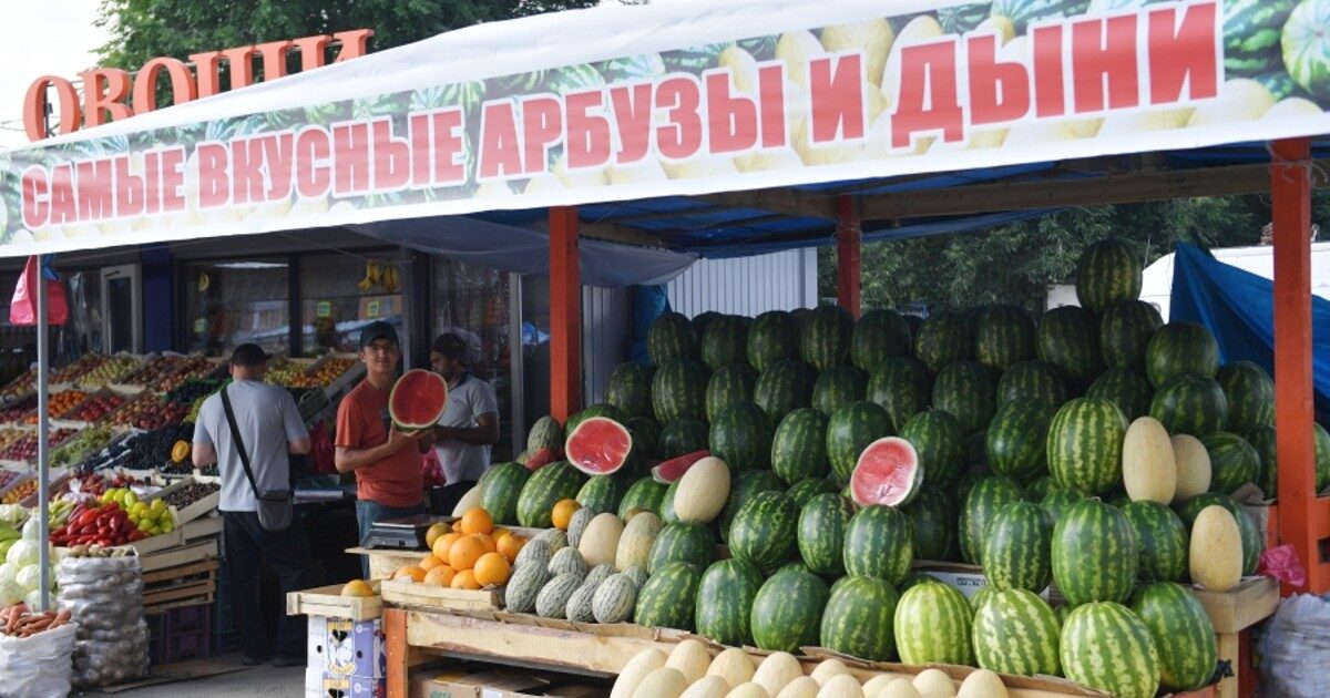В России создали мобильное приложение для определения спелости арбузов
