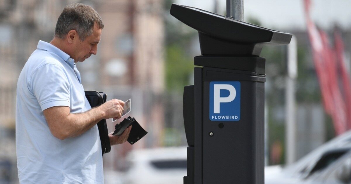 В Госдуме предложили разрешить многодетным семьям парковку на платных стоянках