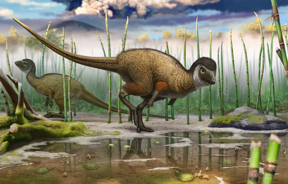 Какие динозавры жили на современной территории РФ миллионы лет назад