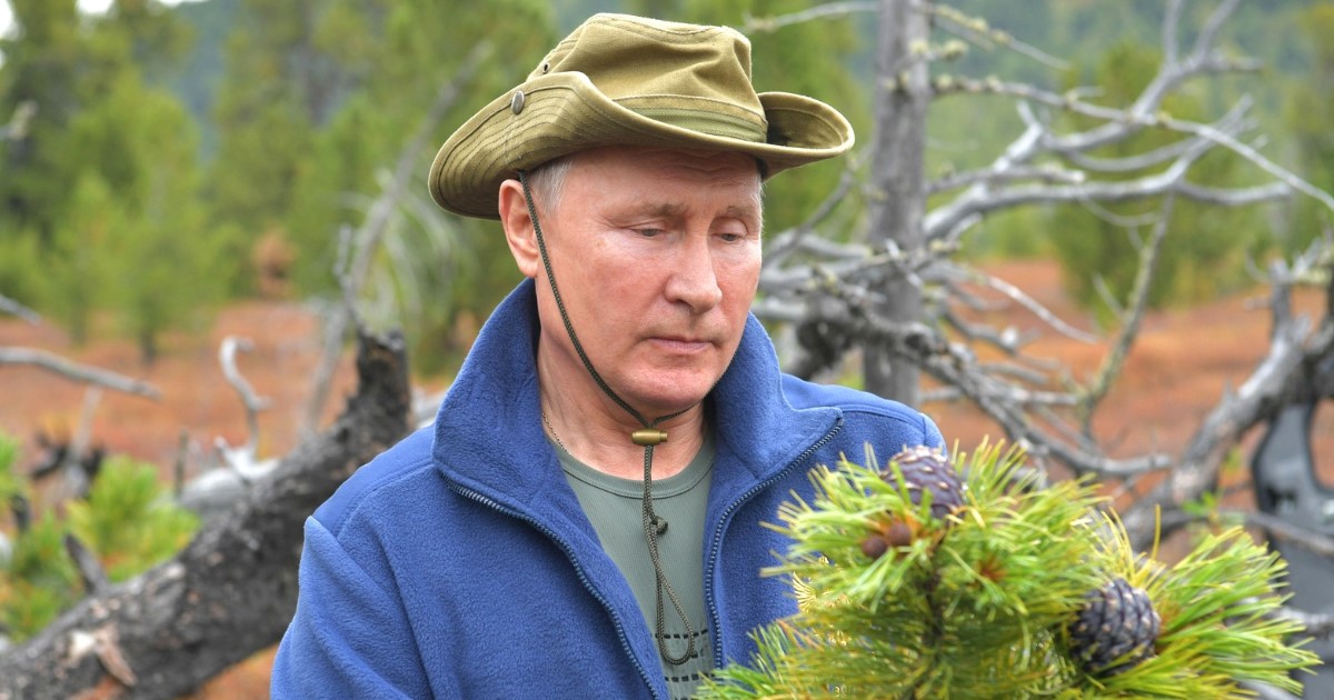 Путин не поедет в тайгу на день рождения: названы возможные места празднования