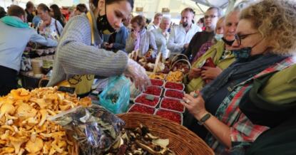 Названы 9 правил успешной торговли на рынке