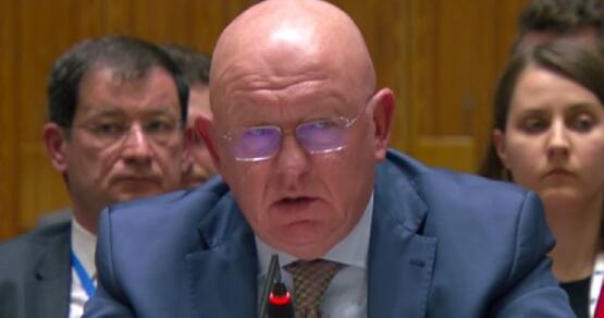 Небензя поставил на место посла США в Совбезе ООН