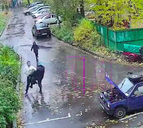 В Щелково пожилой мужчина остановил грабителя с помощью подножки