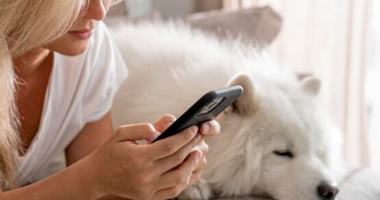 Минфин разъяснил, кого затронут новые правила переводов с 1 апреля