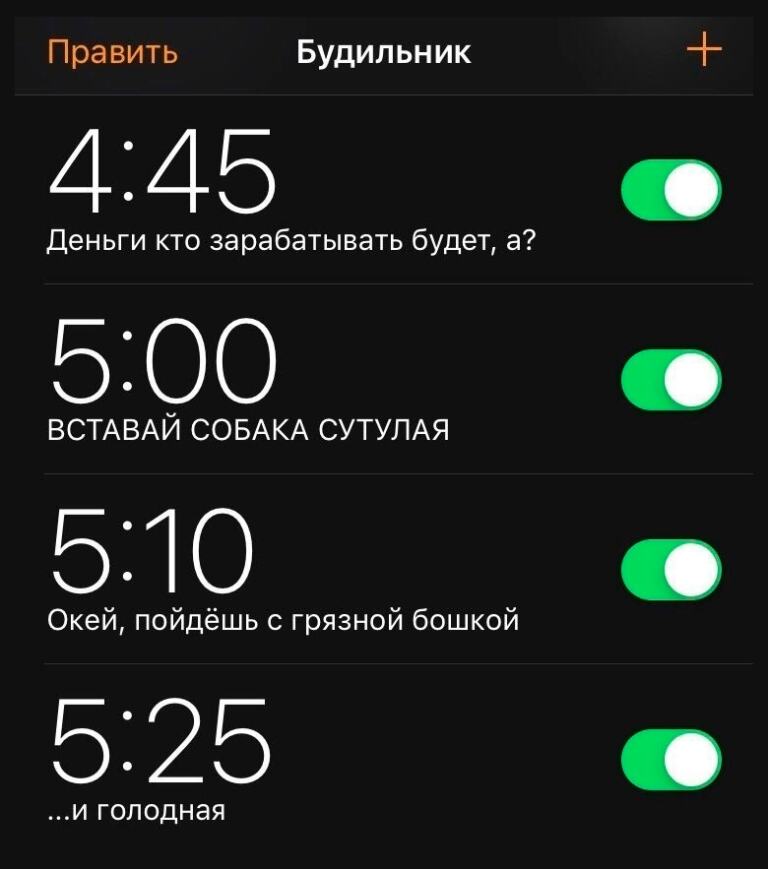 Я отключил телефон завел на 8 будильник. Будильник. Будильник Мем. Будильник на телефоне. Вставай собака сутулая будильник.