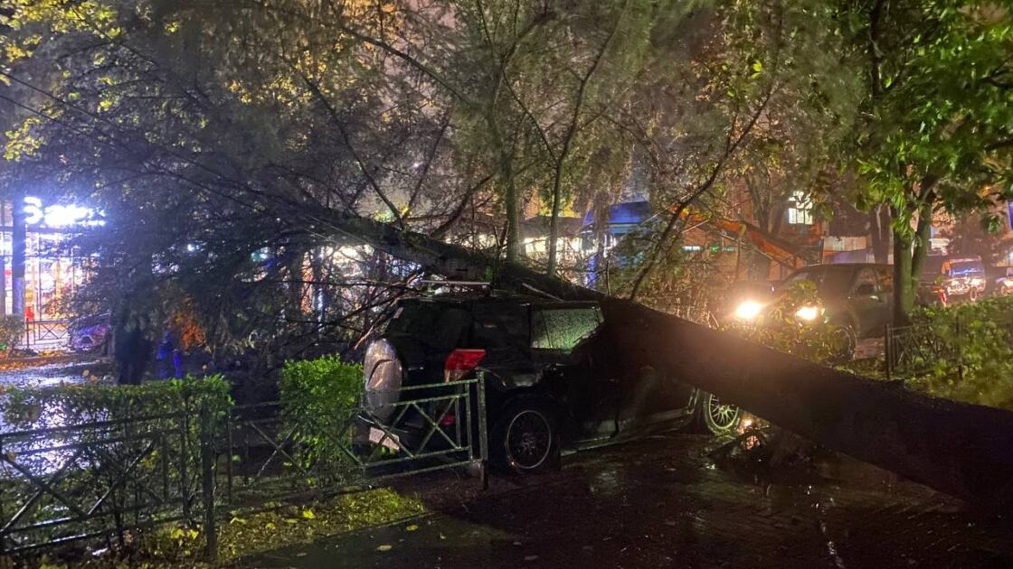 В чем разница между ураганом, тайфуном и смерчем