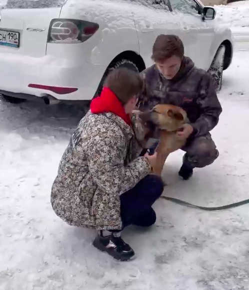 В Твери хозяева нашли собаку, которая пропала два года назад