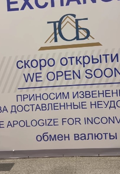 Диана Арбенина возмутилась из-за плаката в московском аэропорту