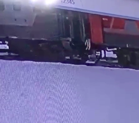 Проводница выбросила из поезда кота, который ехал с хозяином и билетом