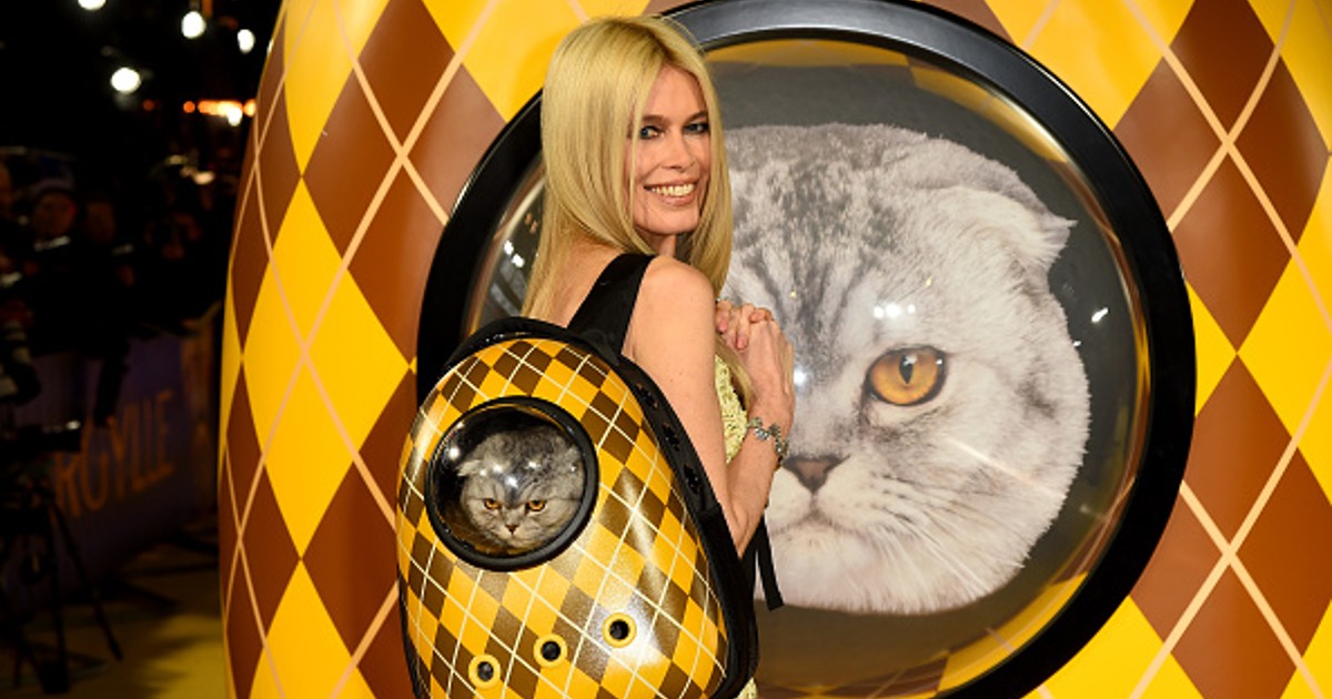 Ветеринары осудили Клаудию Шиффер за светский раут  с котом в рюкзаке