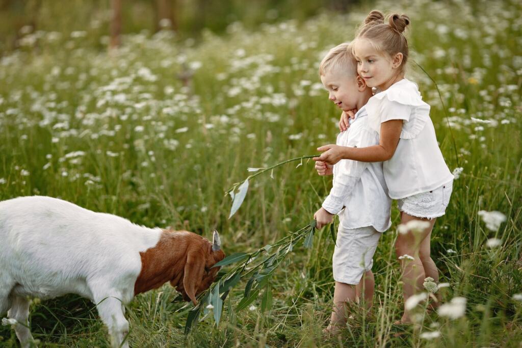 Эксперимент: собака в семье помогает девочкам больше, чем мальчикам